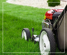 Lawn Mowing Services With El Guero Landscaping LLC