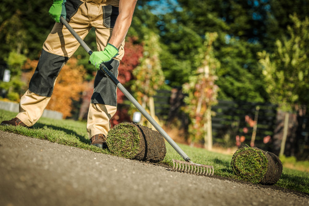 installing sod