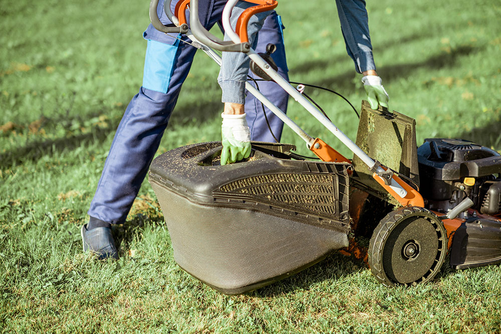 lawn mowing