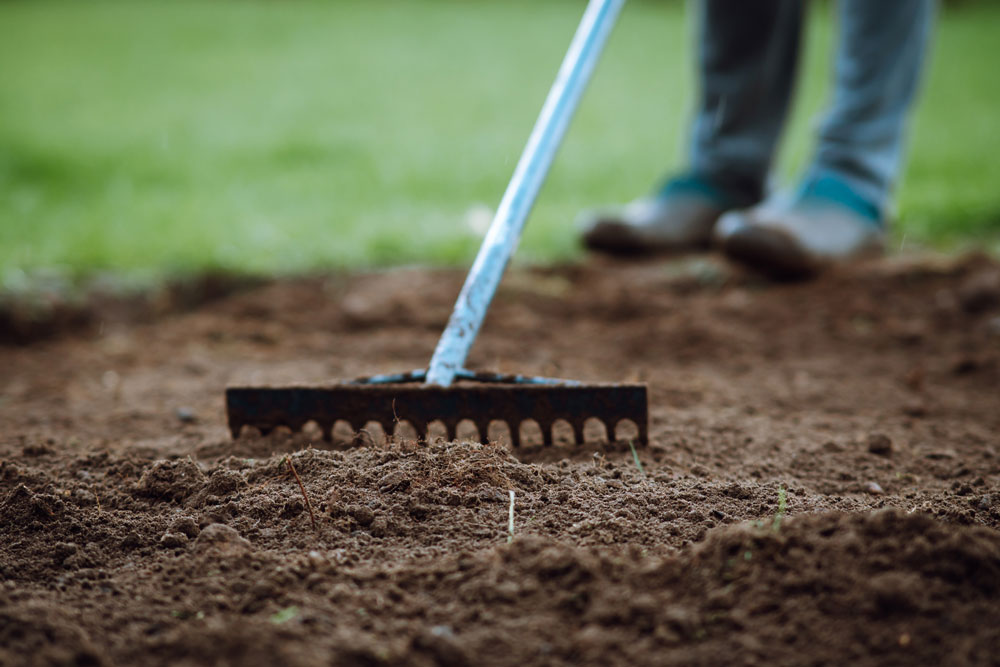 gardening