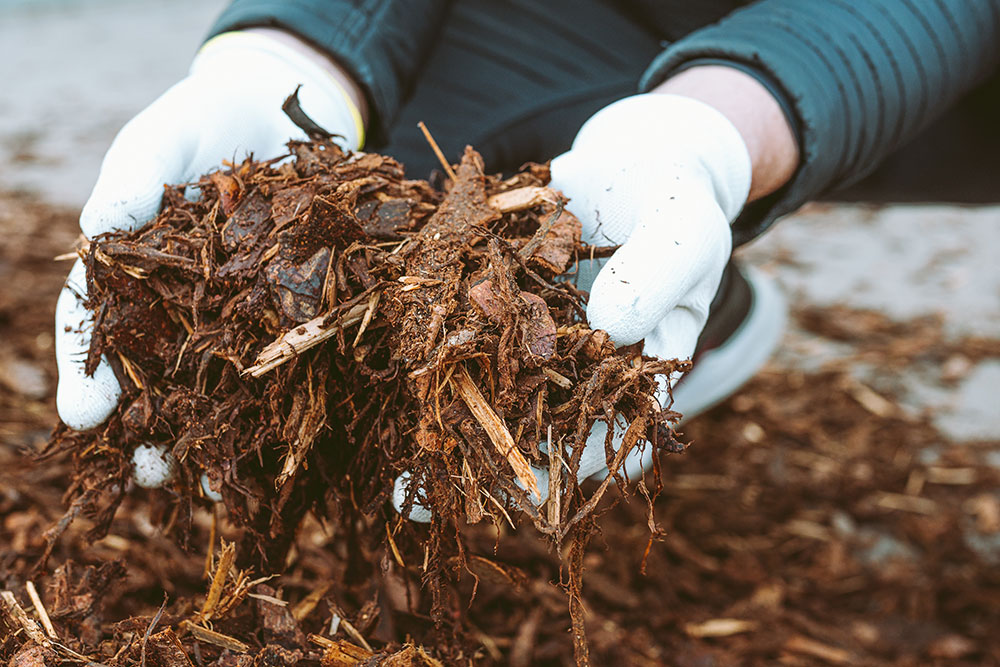 gardening